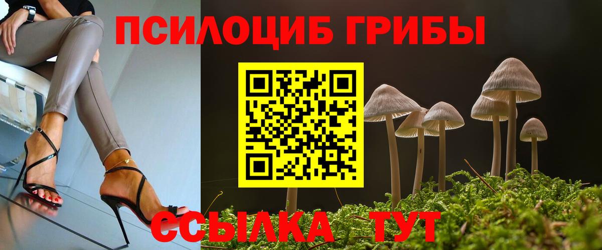 Луга  сколько стоит  Псилоцибиновые грибы Psilocybe  Вход с VPN  Галлюциногенные грибы GOLDEN TEACHER 